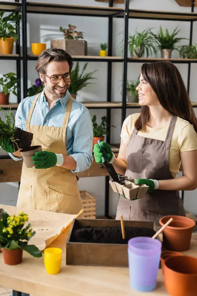 Floristas alegres trabajando con plantas y herramientas de jardinería en floristería - foto de stock