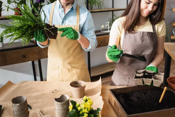 Florists in aprons and gloves planting flowers near tools in shop — Stock Photo