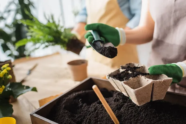 Vista ritagliata di fiorista in guanti che lavorano con terra in negozio di fiori — Foto stock