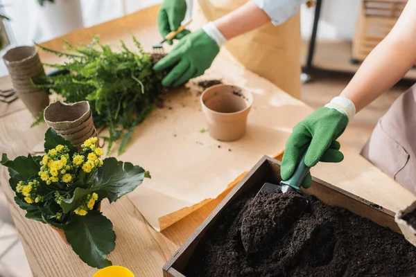 Vista cortada de floristas em luvas que trabalham com plantas e ferramentas de jardinagem na loja de flores — Fotografia de Stock