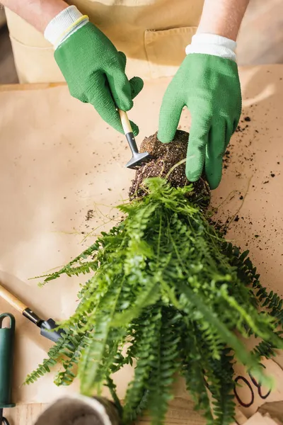 Cropped view of florist in gloves working with plant and rake in flower shop — Stock Photo