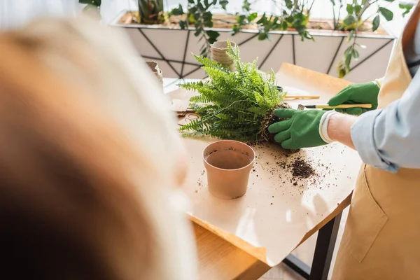 Ausgeschnittene Ansicht eines Floristen, der mit Harke und Pflanze in der Nähe von Blumentöpfen im Geschäft arbeitet — Stockfoto