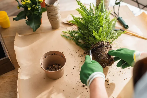 Vista cortada de florista em luvas segurando ancinho perto da planta com chão na loja — Fotografia de Stock