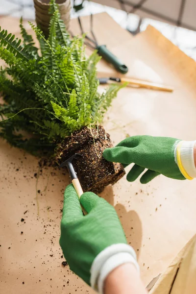 Cropped view of florist in gloves working with plant and rake on paper in shop — Stock Photo