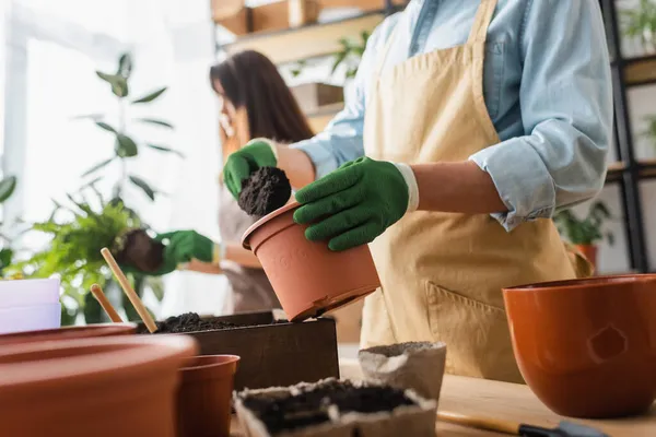 Florist in Handschuhen schüttet Erde in Blumentopf neben verschwommenem Kollegen im Geschäft — Stockfoto