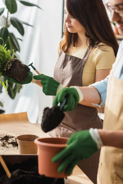 Jovens floristas em luvas trabalhando com ferramentas de jardinagem e planta na loja de flores — Fotografia de Stock