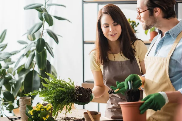 Florista positivo segurando planta perto de colega com pá e planta na loja de flores — Fotografia de Stock