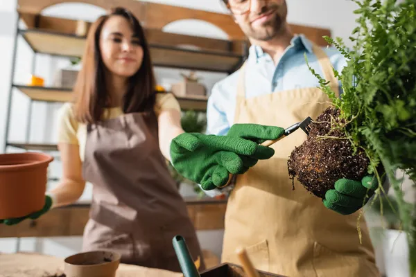 Verschwommener Blumenhändler zeigt mit Finger auf Kollegin mit Pflanze und Harke im Geschäft — Stockfoto