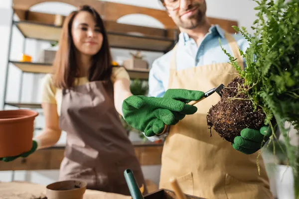 Florista borrado apontando com o dedo perto colega com planta e ancinho na loja — Fotografia de Stock