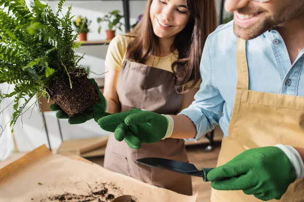 Florista sonriente sosteniendo pala cerca de alegre colega con planta en floristería - foto de stock