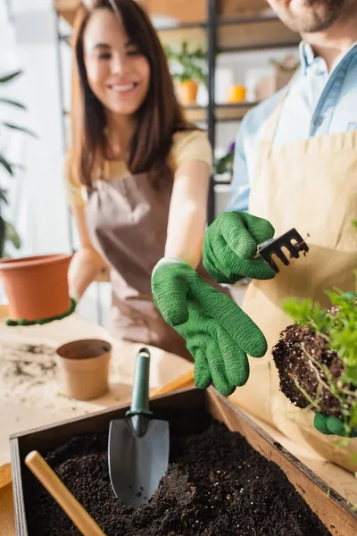Blurred florists in gloves working with plant and ground in flower shop — Stock Photo