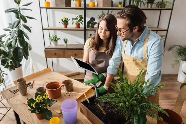 Floristería sosteniendo tableta digital cerca de colega y plantas en la mesa en la tienda de flores — Stock Photo