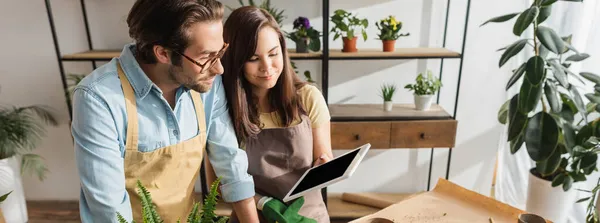 Fiorista che tiene tablet digitale vicino a collega in grembiule e occhiali in negozio di fiori, banner — Foto stock