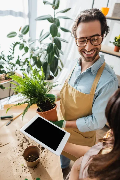 Florista positivo segurando planta e vaso perto colega com tablet digital na loja de flores — Fotografia de Stock