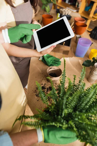 Ausgeschnittene Ansicht eines Blumenhändlers im Handschuh, der auf ein digitales Tablet in der Nähe von Pflanze und Kollege im Blumenladen zeigt — Stockfoto