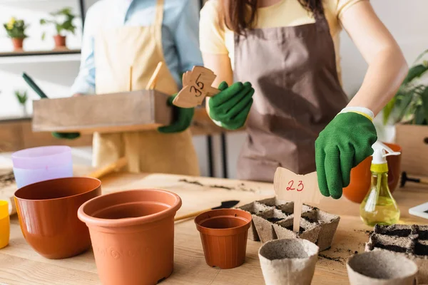 Vista recortada de floristería en guantes con etiquetas de precios cerca de macetas y colega en floristería - foto de stock