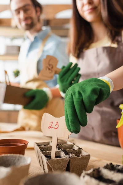 Preisschild in der Hand eines verschwommenen Blumenhändlers, der mit Blumentöpfen in der Nähe eines Kollegen im Geschäft arbeitet — Stockfoto