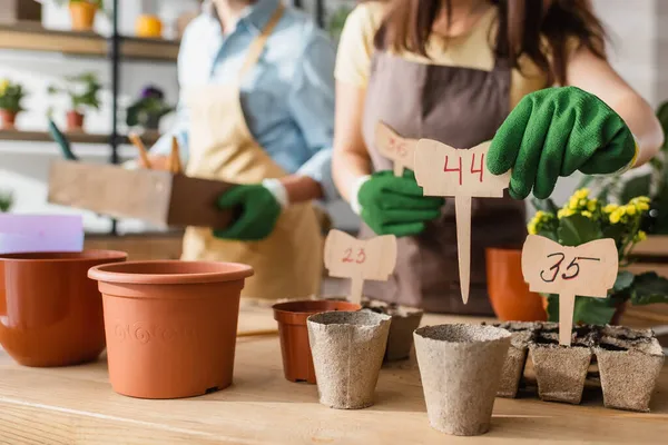 Cropped view of florist in gloves holding price tag near flowerpots in shop — Stock Photo