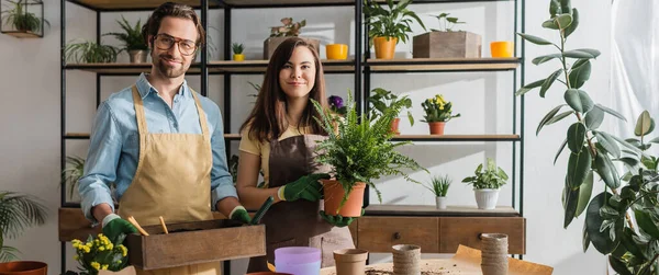 Floristas em luvas segurando caixa com chão e planta na loja de flores, banner — Fotografia de Stock