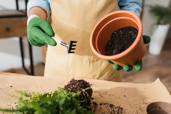 Vue recadrée d'un fleuriste tenant un râteau de jardinage et un pot de fleurs près d'une plante floue en magasin — Photo de stock