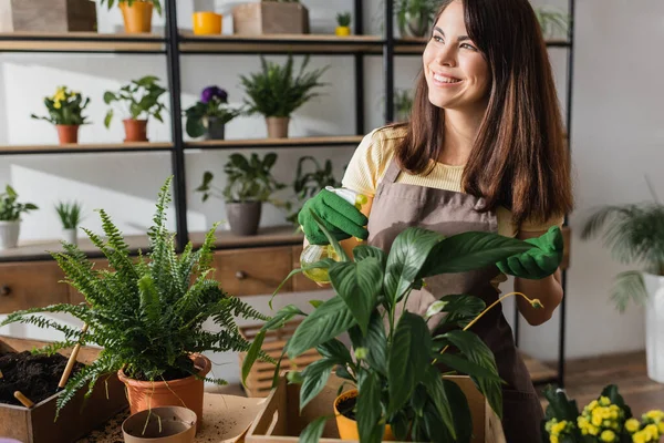 Alegre florista en guantes sosteniendo pulverizador cerca de plantas en floristería - foto de stock