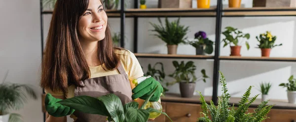 Positivo fiorista bruna in guanti che tiene spruzzatore vicino alle piante in negozio di fiori, banner — Foto stock