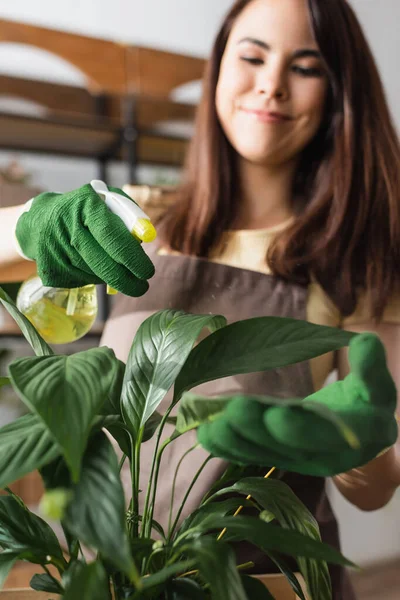 Verschwommener Blumenhändler sprüht Wasser auf Pflanze in Geschäft — Stockfoto