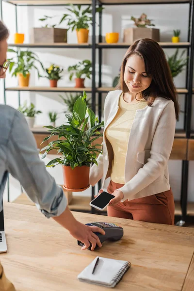 Mujer joven que paga con el teléfono inteligente y la planta de retención cerca de floristería en la tienda - foto de stock