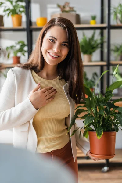 Усміхнена жінка тримає рослину в квітковому магазині — стокове фото