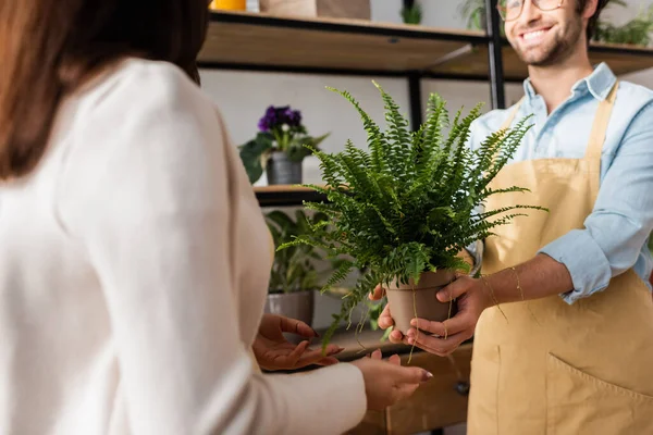Обрізаний вид усміхненого флориста, що тримає рослину біля розмитого клієнта в квітковому магазині — стокове фото