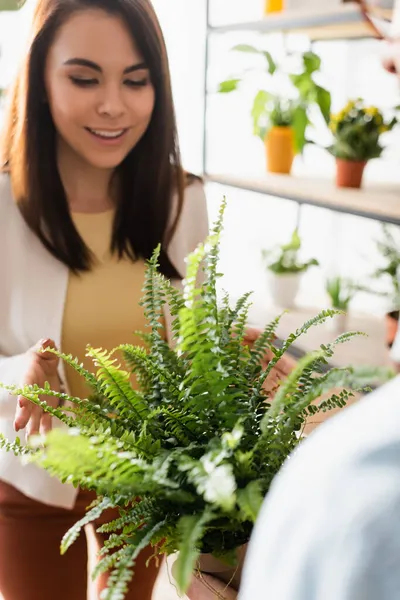 Cliente sorridente olhando para a planta na mão de florista na loja de flores — Fotografia de Stock