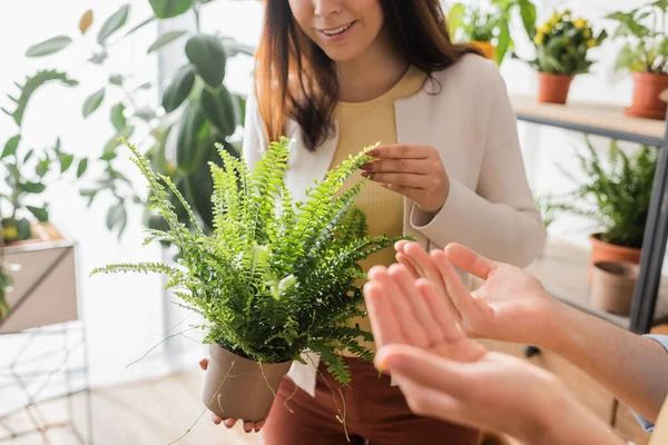 Vista ritagliata del cliente sorridente che tocca la pianta vicino al fiorista nel negozio di fiori — Foto stock