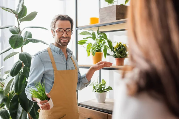 Florista sonriente en planta de tenencia de delantal cerca de estantes y cliente borroso en tienda de flores - foto de stock