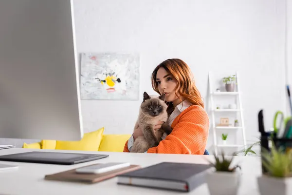 Задумчивый фрилансер сидит с котом на рабочем месте и смотрит на монитор на размытом переднем плане — стоковое фото
