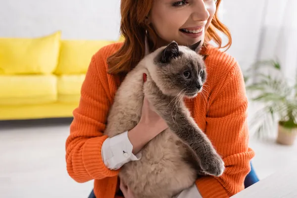 Abgeschnittene Ansicht einer jungen Frau, die lächelt, während sie eine flauschige Katze zu Hause hält — Stockfoto