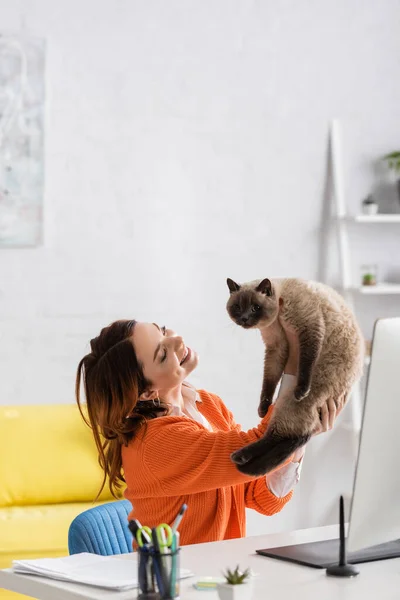 Mujer feliz sosteniendo gato mientras está sentado en escritorio en casa - foto de stock