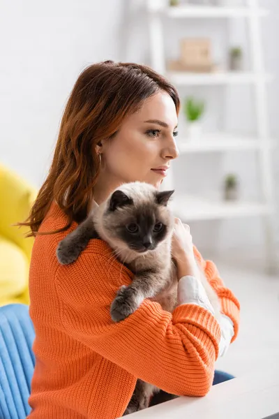 Hübsche junge Frau hält pelzige Katze zu Hause — Stockfoto