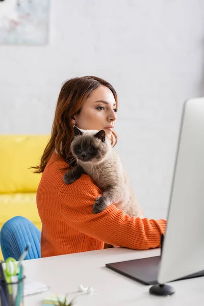 Joven freelancer sentado con gato cerca borrosa monitor de ordenador y tableta gráfica - foto de stock