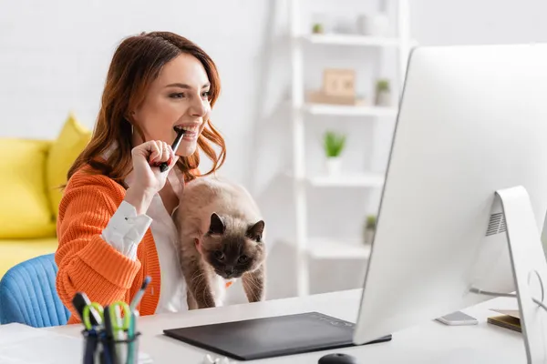 Emocionado diseñador celebración gato y morder lápiz mientras trabajo en casa - foto de stock