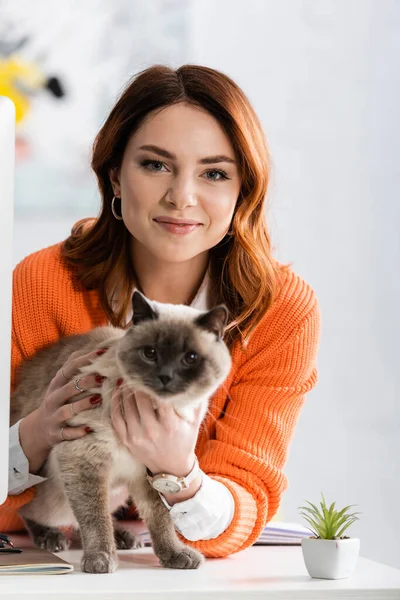 Bonita mujer sonriendo a cámara mientras acariciando gato sentado en escritorio - foto de stock