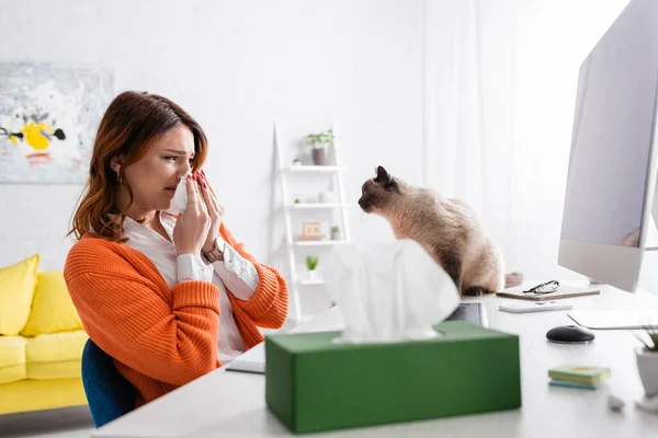 Mulher alérgica espirrando em guardanapo de papel perto de gato e pacote borrado com guardanapos de papel na mesa — Fotografia de Stock