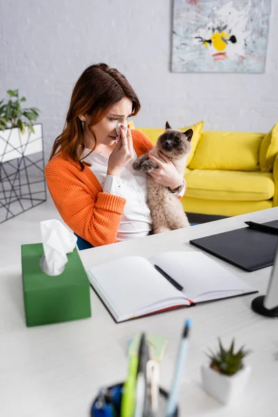 Woman suffering from allergy while sitting with cat near graphic tablet and notebook on desk — Stock Photo