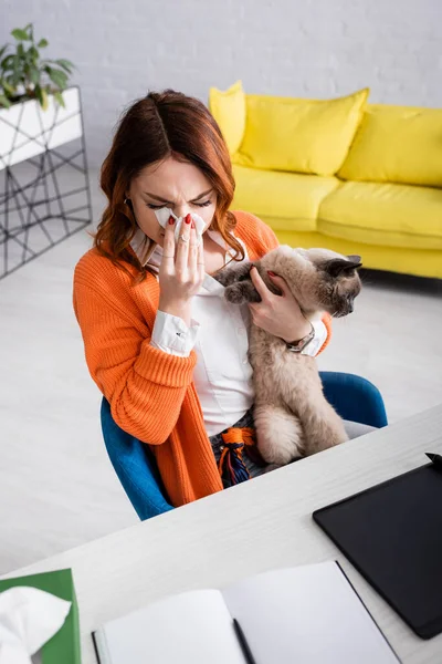 Vue grand angle de femme éternuant dans une serviette en papier tout en étant assis avec chat au bureau — Photo de stock