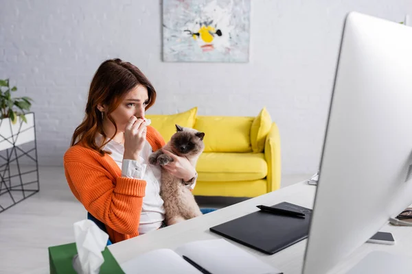 Donna allergica che soffre di allergia mentre è seduta sul posto di lavoro con il gatto — Foto stock