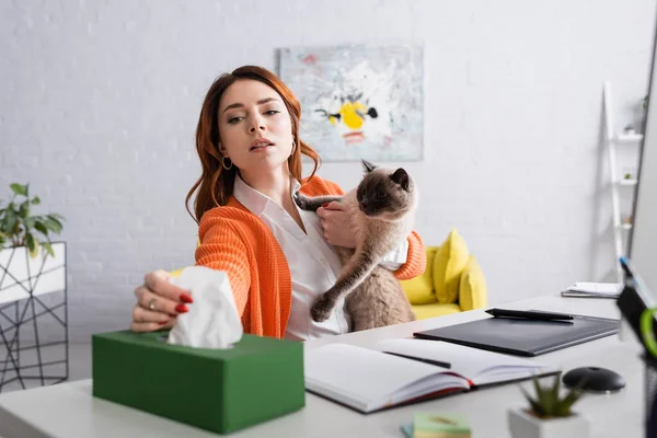 Mulher alérgica sentada com gato perto do comprimido gráfico e tomando guardanapo de papel da embalagem turva — Fotografia de Stock