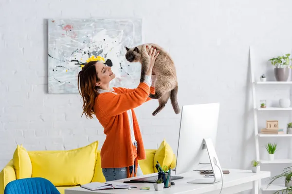 Allegro freelance che tiene il gatto in piedi vicino alla scrivania con tablet grafico e monitor per computer — Foto stock