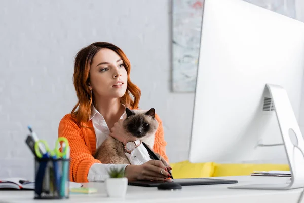 Retoque con gato utilizando tableta gráfica mientras se trabaja en el monitor del ordenador en primer plano borroso - foto de stock