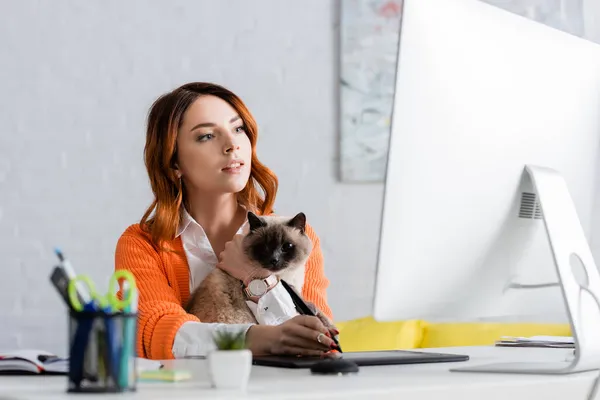 Retoucher avec chat à l'aide d'une tablette graphique tout en travaillant à l'écran de l'ordinateur au premier plan flou — Photo de stock