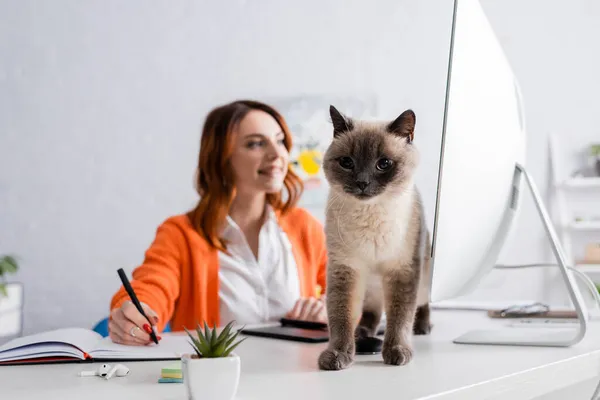 Размытый фрилансер, пишущий в блокноте во время работы рядом с котом, сидящим на столе рядом с монитором — стоковое фото