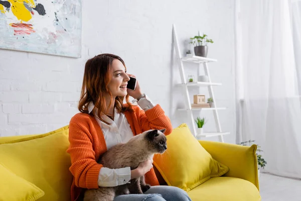 Mujer feliz hablando en el teléfono inteligente mientras está sentado en el sofá con el gato - foto de stock